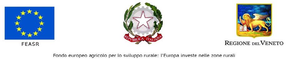 Regione Veneto